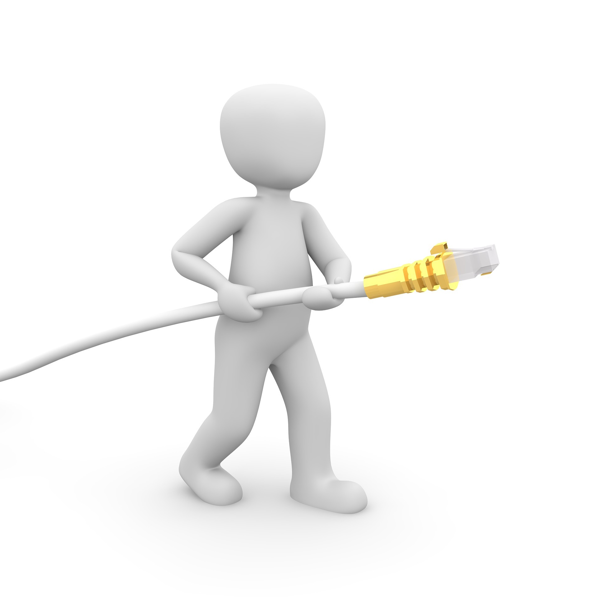 Männchen mit Netzwerkkabel