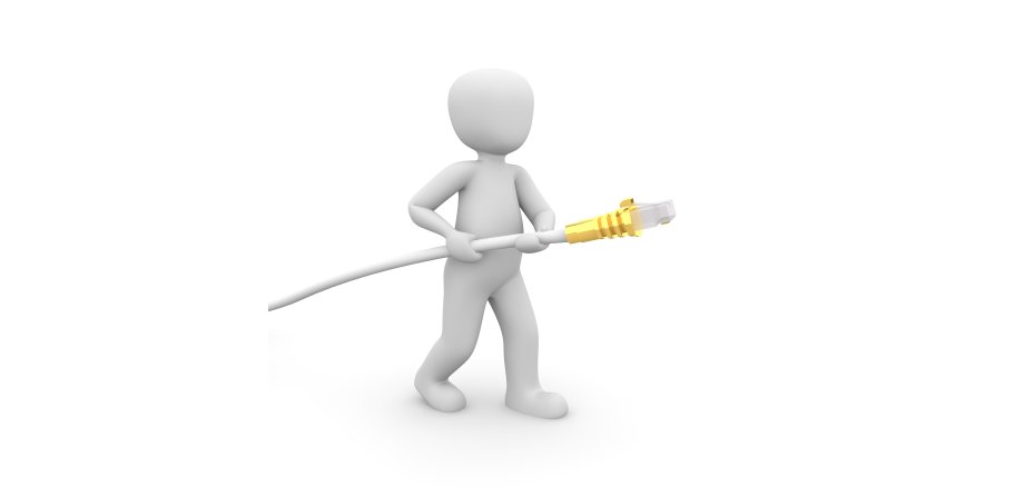 Männchen mit Netzwerkkabel