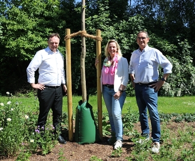 (v. l. n. r.) Landrat Dr. Kai Zwicker, Bürgermeisterin Dagmar Jeske und Johannes Maus (Vorsitzender des Ausschusses für Natur, Umwelt, Landwirtschaft und Klimaschutz des Kreistages sowie Mitglied des Kuratoriums der „Stiftung Kulturlandschaft Kreis Borken“) am Standort des neugepflanzten Blauglockenbaums