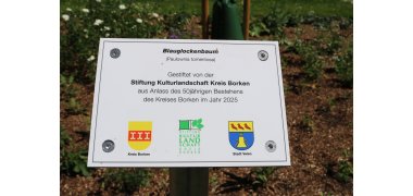 Ein kleines Schild erinnert an den Grund der Anpflanzung des Blauglockenbaums Ein kleines Schild erinnert an den Grund der Anpflanzung des Blauglockenbaums