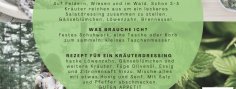 #4 Kräuterwanderung #4 Kräuterwanderung