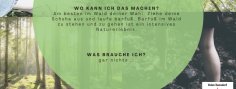 #5 Waldbaden
#5 Waldbaden
